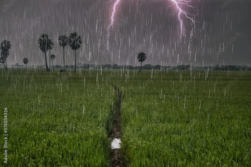 Local Winds In India 