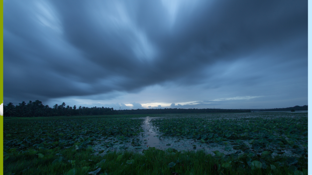 The Indian Monsoon