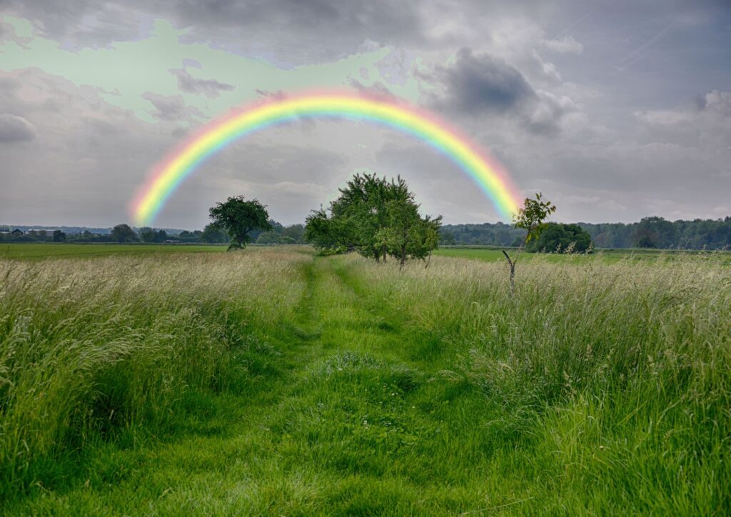 WEATHER AND CLIMATE